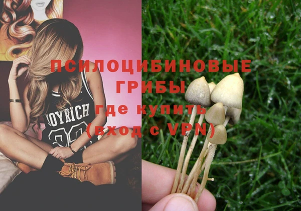 стафф Алексеевка