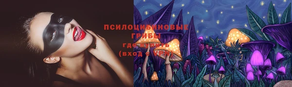 синтетический гашиш Алексин