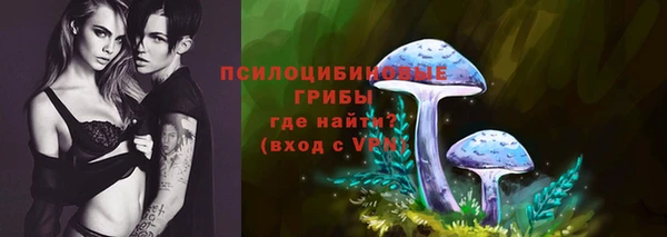 стафф Алексеевка