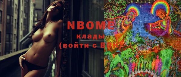 хмурый Алзамай